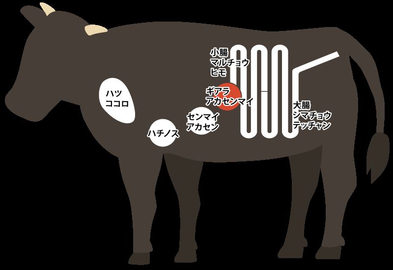 ギアラ（赤センマイ／第4胃）