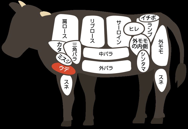 ウデ